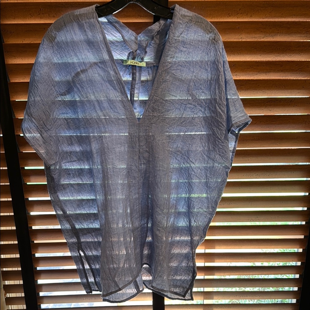 EUC Karlie Sheer Blue V-Neck Top